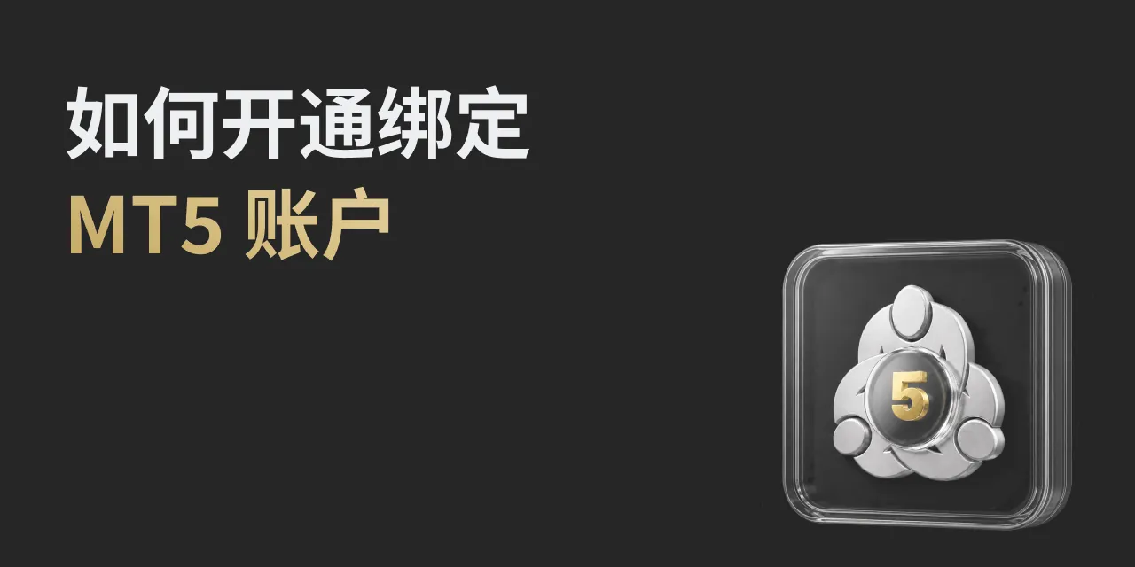 web banner 简 (MT5)